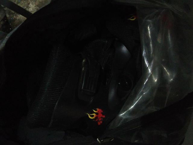 Patins