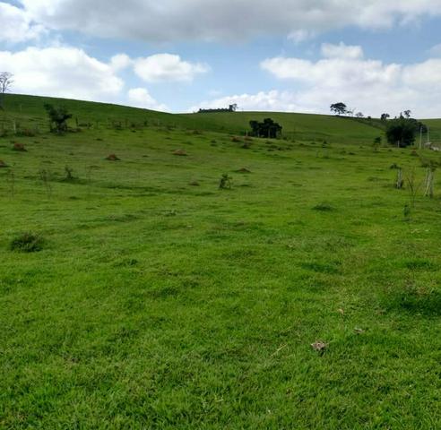 Ud/ preços únicos que você com certeza vai gostar