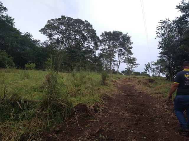 Chácara rego e córrego Bela vista - Foto 5