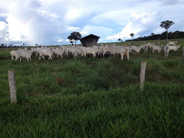 Fazenda