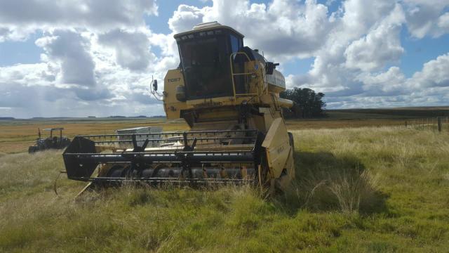 Colheitadeira NH TC57 | Ano 1999 Arrozeira