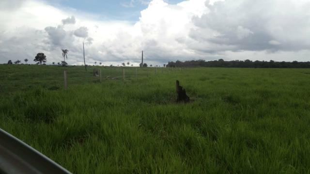 Fazenda - Foto 6