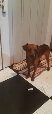 Cruzar - Foto 2