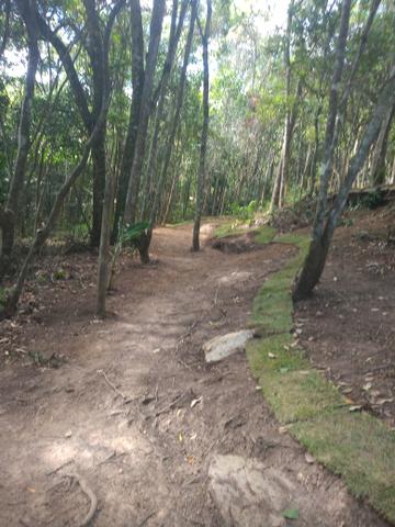 Lindo Terreno em meio à Natureza no bairro Fazenda - Foto 10