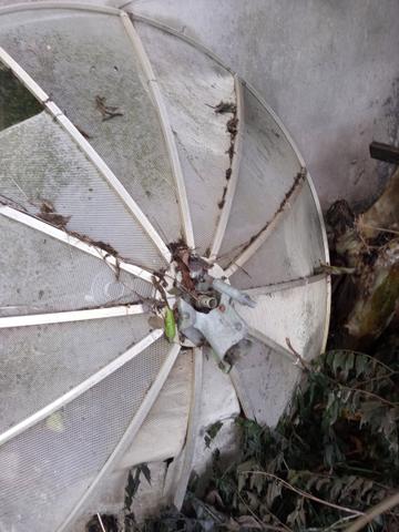 Antena parabolica