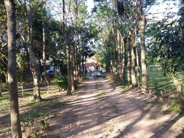 Velleda oferece sítio 3 hectares, 3 dormitórios, horta irrigada, 2 piscinas, açude - Foto 6