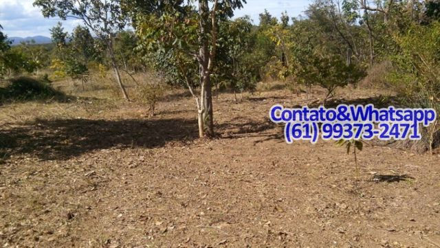 Rancho c/Casa 4Suítes no Lago de Serra da Mesa, Top P/Pesca!!Aceito Carro - Foto 12
