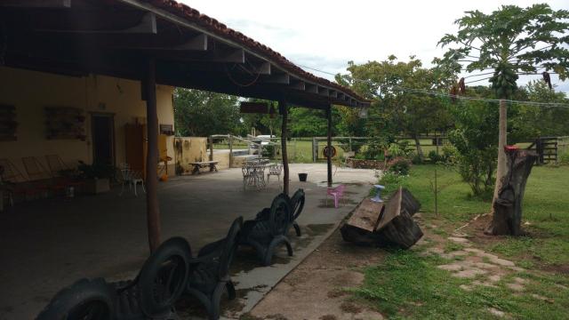 Arrendamento, Aluguel ou Venda de Chacara Estrada da Guia km14 Hidroponia, Confinamento - Foto 11