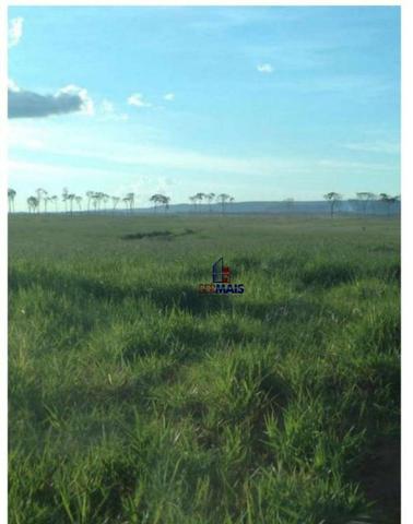 Belíssima fazenda a venda na divisa de Rondônia com o estado de mato grosso - Foto 19