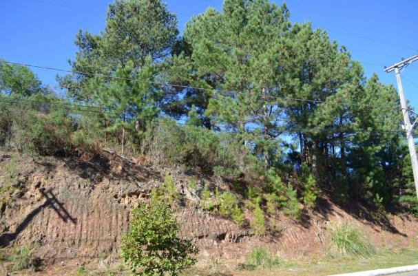 Terreno à venda, 831 m² por r$ 290.000,00 - mato queimado - gramado/rs - Foto 4