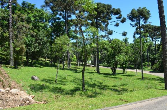 Terreno à venda, 1020 m² por r$ 607.150,00 - condomínio aspen mountain - gramado/rs - Foto 5