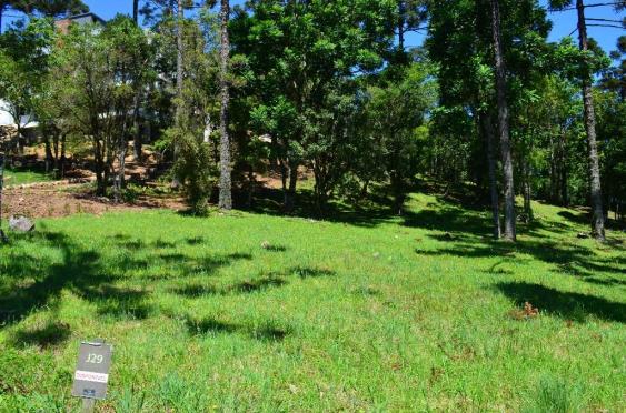 Terreno à venda, 1020 m² por r$ 607.150,00 - condomínio aspen mountain - gramado/rs - Foto 3