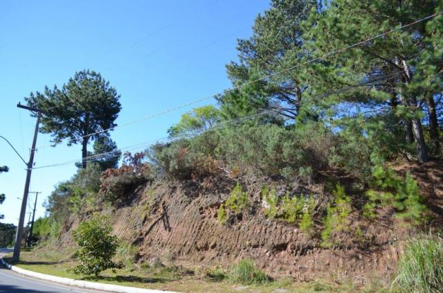 Terreno à venda, 831 m² por r$ 290.000,00 - mato queimado - gramado/rs - Foto 2