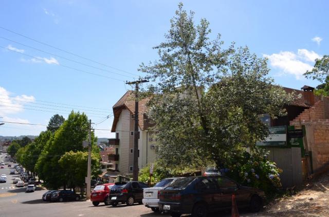 Terreno à venda, 360 m² por R$ 1.600.000,00 - Centro - Gramado/RS - Foto 6