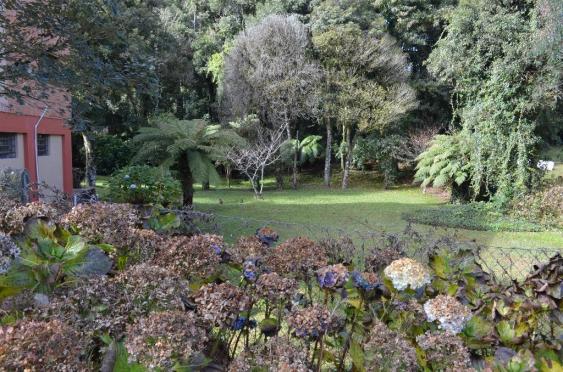 Terreno residencial à venda, tirol, gramado - te0243. - Foto 7