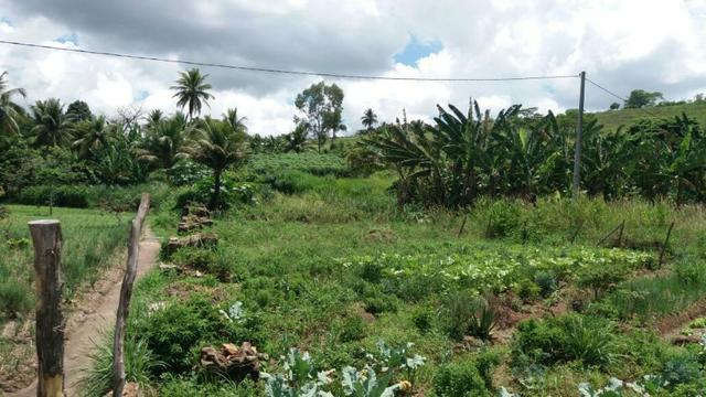 Chácara de 800 m², em Vitória de Santo Antão-PE, por 80 mil