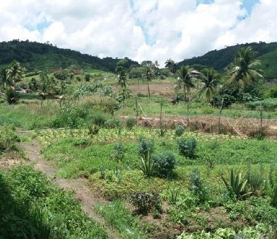 Chácara de 800 m², em Vitória de Santo Antão-PE, por 80 mil - Foto 4