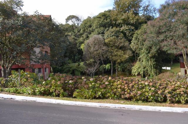 Terreno residencial à venda, tirol, gramado - te0243. - Foto 3
