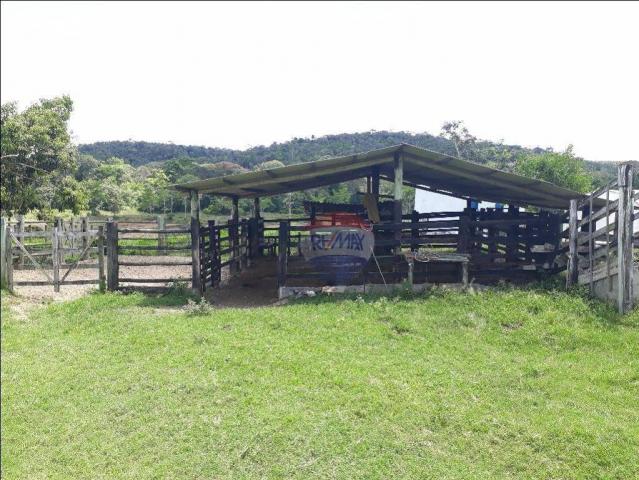 Fazenda à venda em Porto Seguro (Vera Cruz), Bahia - Foto 13