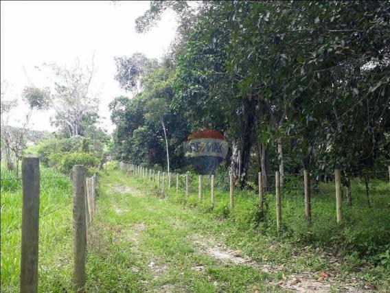 Fazenda à venda em Porto Seguro (Vera Cruz), Bahia - Foto 6