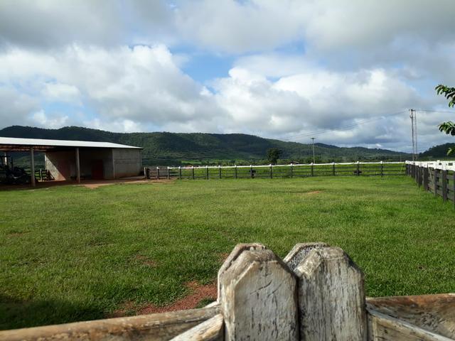 Fazenda em Santo Antônio á venda - Foto 18