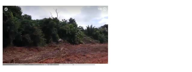 1100 Hectares, cerrado e mata, argilosa, vizinhos Soja, Região, Juína,Brasnorte-MT,Ocasião