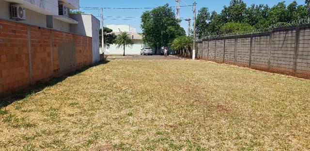 Terreno Paulínia - Foto 17
