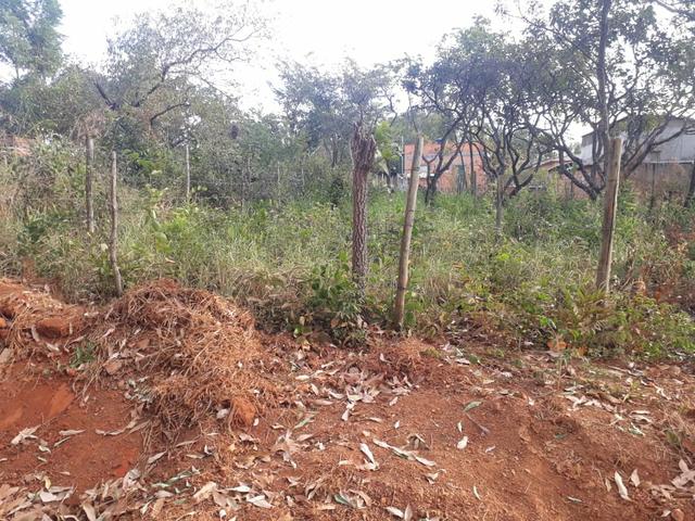 Lote 360 metros - Foto 6