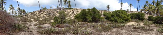 Terreno - Foto 5