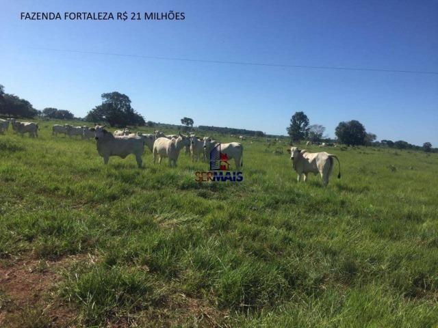 Fazenda à venda, por R$ 21.000.000 - Lagoa da Confusão/TO - Foto 8