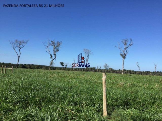 Fazenda à venda, por R$ 21.000.000 - Lagoa da Confusão/TO - Foto 6