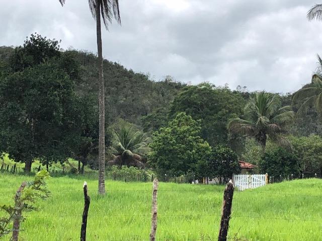 Fazenda Rio Branco - Foto 8
