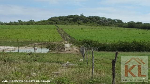 Grande oportunidade, fazenda com 37 hectares, casa sede, em Ielmo Marinho