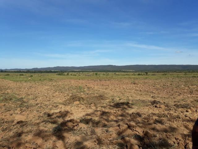 Fazenda 5276 ha N. Brasilandia MT - Foto 5