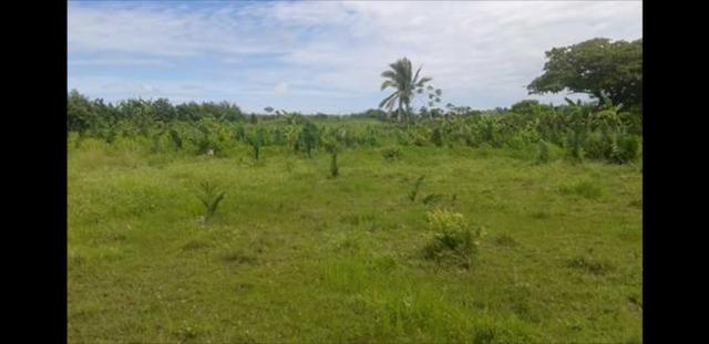 Vendo ou Troco Terreno na zona rural de Santa Inês - MA / Área 10.000m² - Foto 3