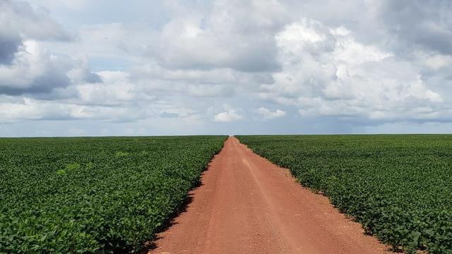 Fazenda 14600 há no Maranhão