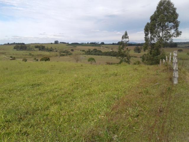 Fazenda de 51 alqueires - Foto 4