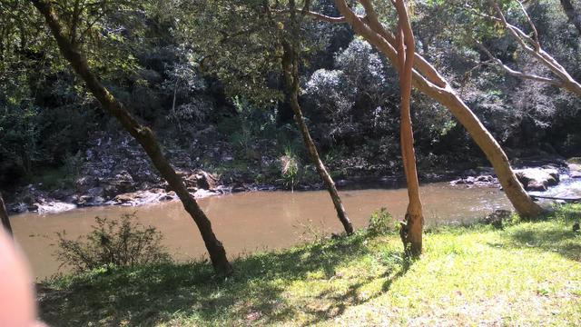 Chácara São Gotardo de Ana Rech 2500m Rio São Marcos 1/4ha - Foto 9