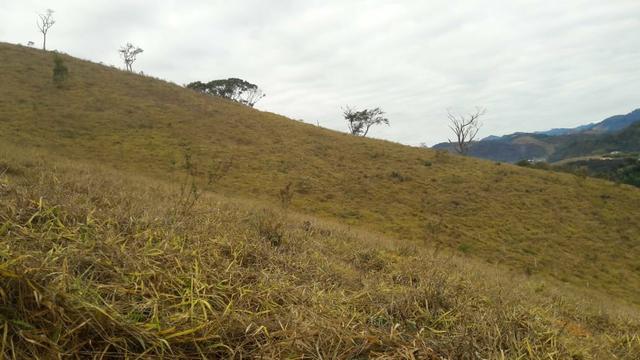 G Cód 286 Sítios e Áreas Maravilhosas em Friburgo!!! - Foto 11