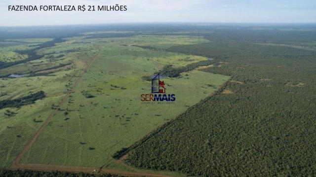 Fazenda à venda, por R$ 21.000.000 - Lagoa da Confusão/TO - Foto 7