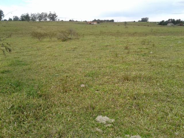 Fazenda de 51 alqueires - Foto 9