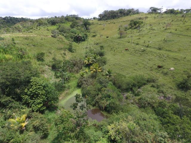 Sítio 7 Hectares - 5 Nascentes em Chã Grande - Foto 11