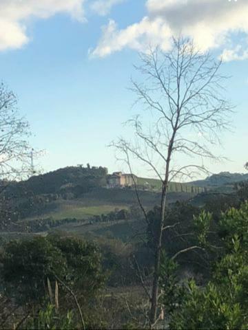 Terreno no Vale dos Vinhedos - Foto 7