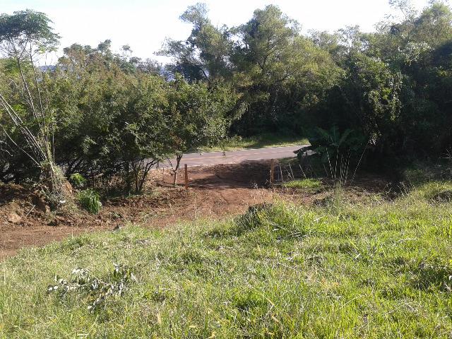 Área de terra 5,3 ha - Foto 2