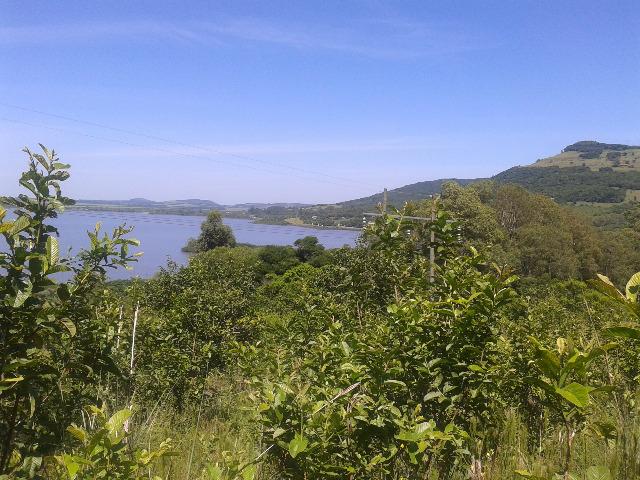 Área de terra 5,3 ha - Foto 4