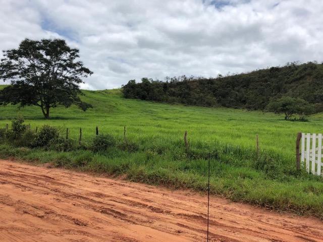 Fazenda Rio Branco - Foto 3