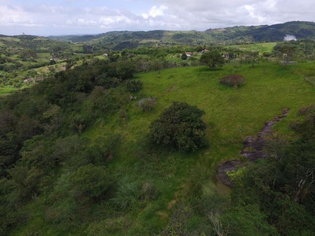 Sítio 7 Hectares - 5 Nascentes em Chã Grande - Foto 15