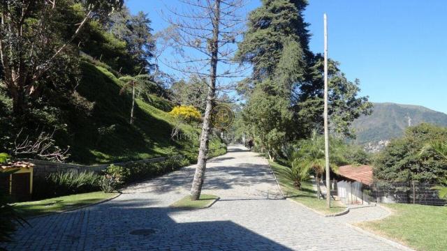Rancho residencial à venda, cascata dos amores, teresópolis. - Foto 3