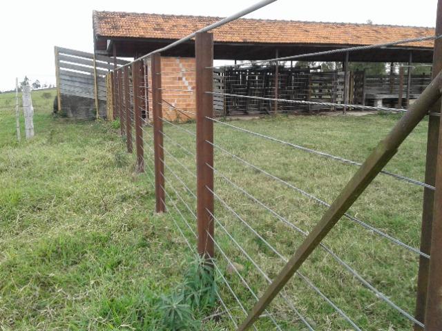 Fazenda de 51 alqueires - Foto 8