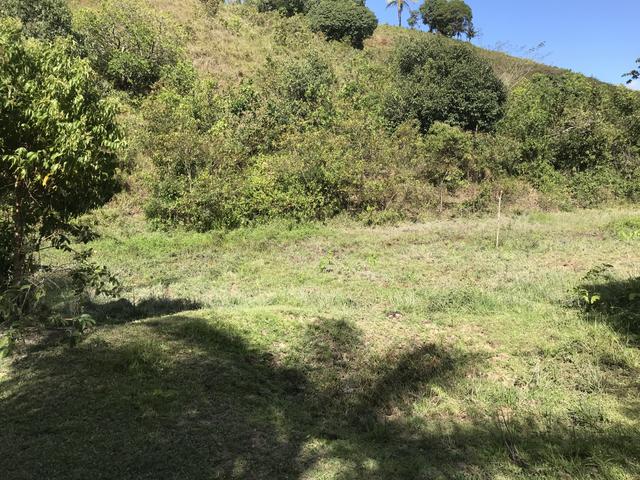 Sítio em Barreiros - Foto 4